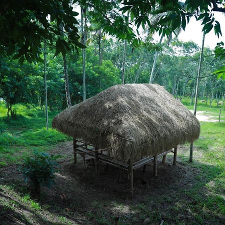 Royal Wooden Villa Mananthavady Bagian luar foto