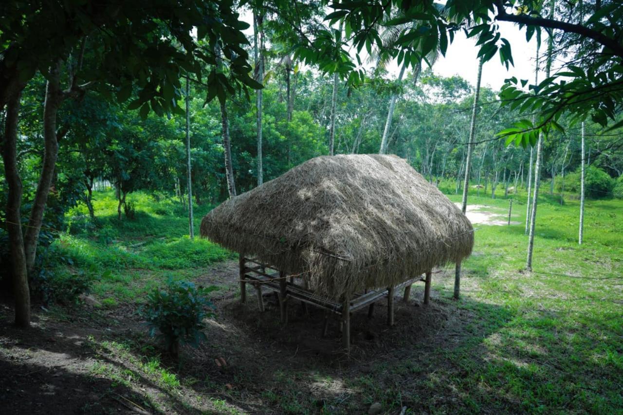 Royal Wooden Villa Mananthavady Bagian luar foto