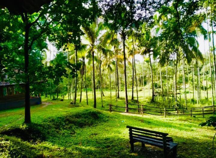 Royal Wooden Villa Mananthavady Bagian luar foto